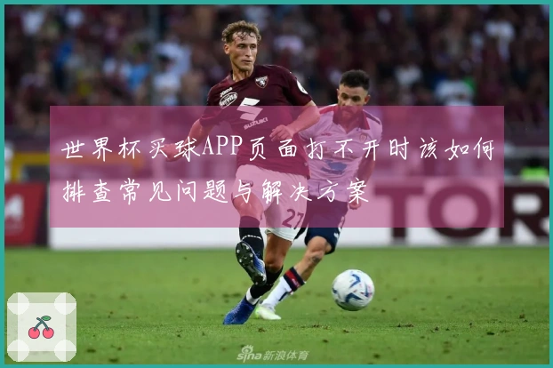 世界杯买球APP页面打不开时该如何排查常见问题与解决方案