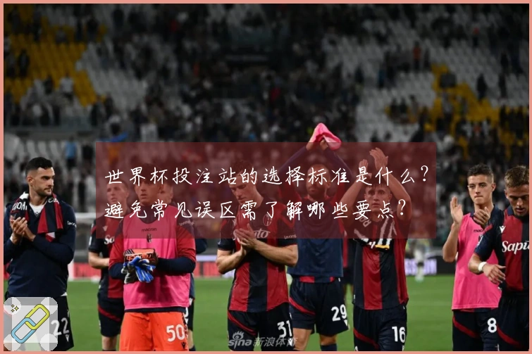 世界杯投注站的选择标准是什么？避免常见误区需了解哪些要点？