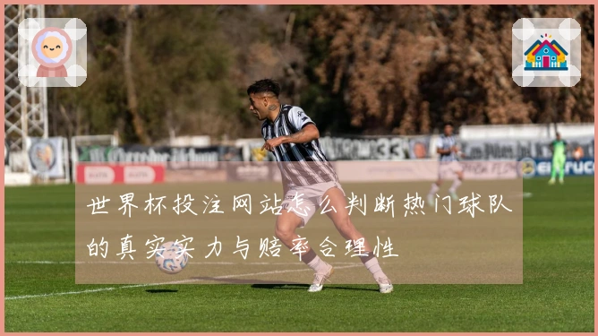 世界杯投注网站怎么判断热门球队的真实实力与赔率合理性