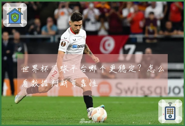 世界杯买球平台哪个更稳定？怎么看数据判断可靠性