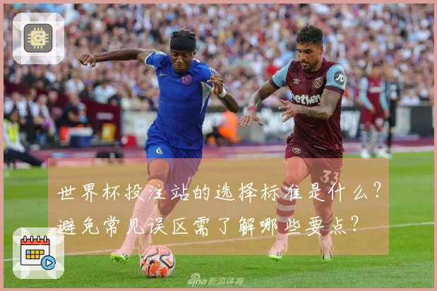 世界杯投注站的选择标准是什么？避免常见误区需了解哪些要点？