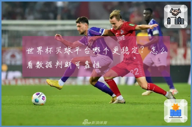 世界杯买球平台哪个更稳定？怎么看数据判断可靠性