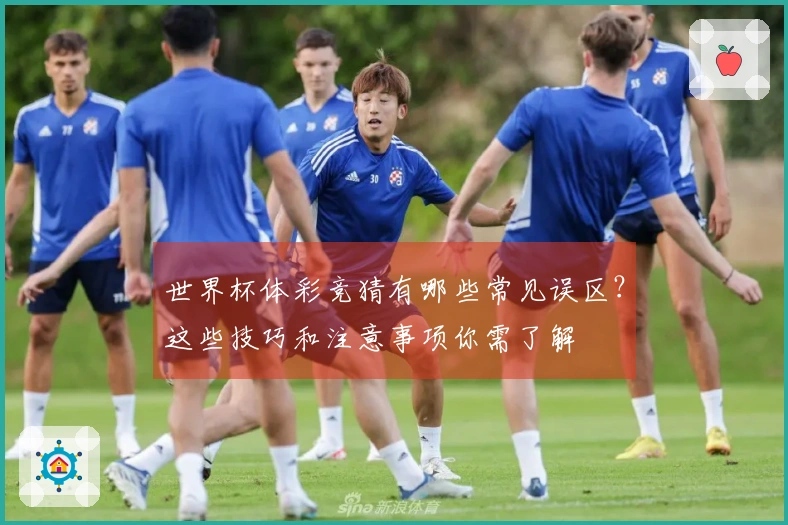 世界杯体彩竞猜有哪些常见误区？这些技巧和注意事项你需了解